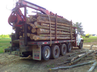 capac_hardwood_lumber_green002003.jpg